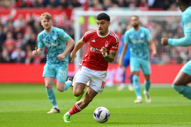 适应成功 适应成功